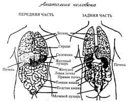 РЕЙКИ ДЛЯ САМООЗДОРОВЛЕНИЯ И САМОИЗЛЕЧЕНИЯ 5