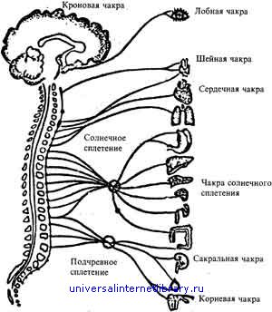 Солнечное сплетение схема