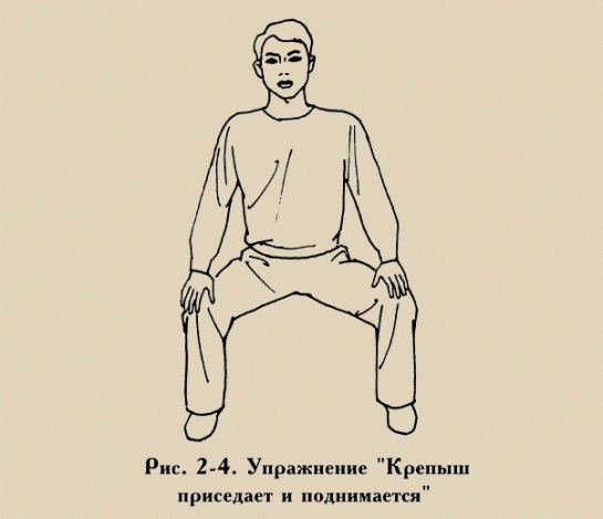 Цигун. Упражнение Крепыш приседает и поднимается