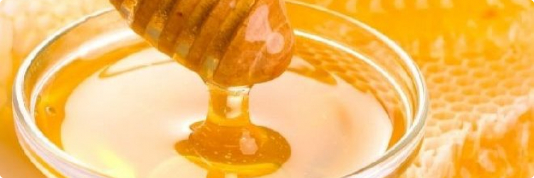Мёд - действенное лекарство