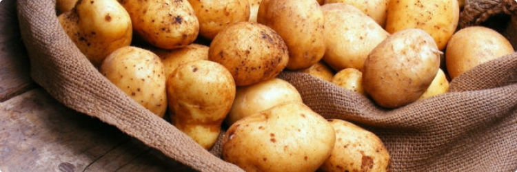Лечение геморроя картофелем