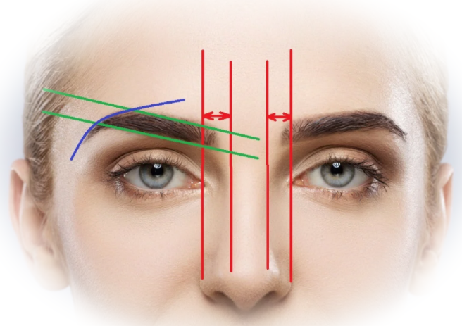 Подбор идеальной формы бровей и принципы их коррекции
