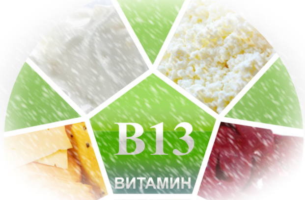 Всё о витамине B13