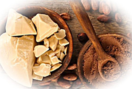 Почему масло какао полезно для лица, волос и тела?
