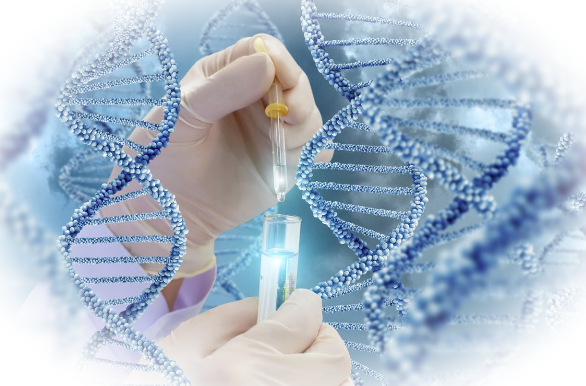 Генетический тест — как это работает?