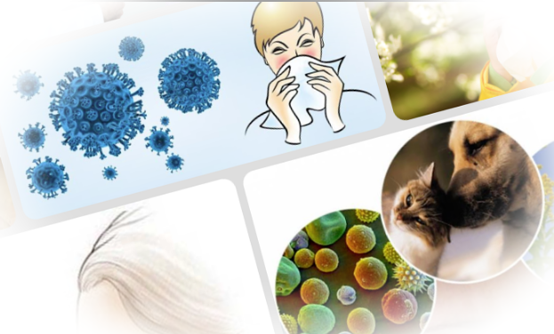 Аллергические реакции: типы, симптомы и лечение