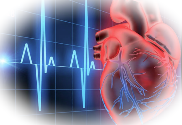 Диагностика и лечение ишемической болезни сердца