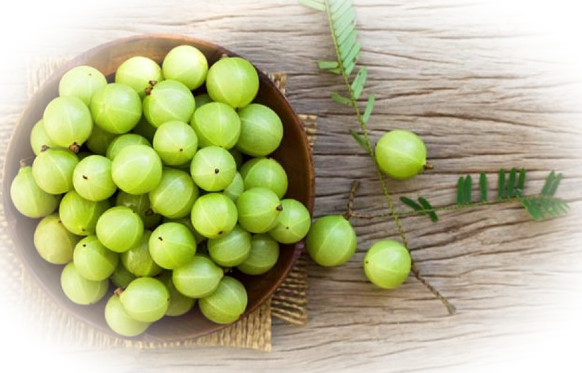 Амалаки - натуральный источник витамина С