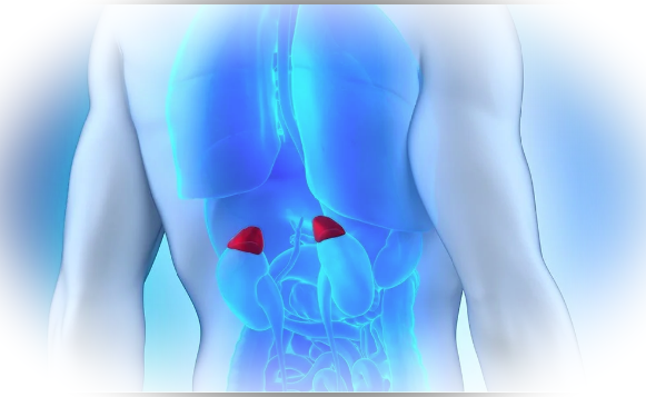 Особенности операции по удалению надпочечников
