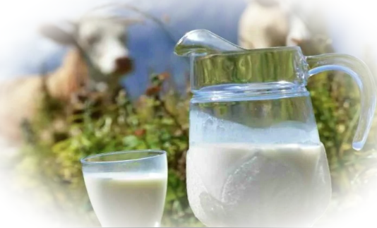 Свойства и польза коровьего молока