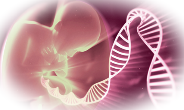 Возможности репродуктивных технологий в центре «Линия жизни»