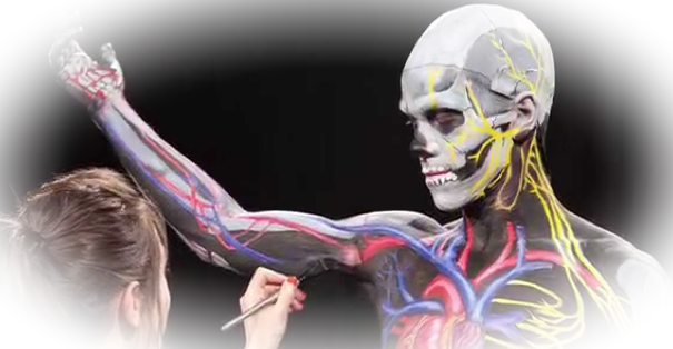 Бодиарт - роспись по телу