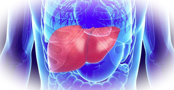 Принципы определения поражения печени