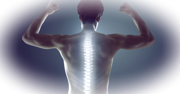 Здоровая осанка: как же добиться желаемого результата?