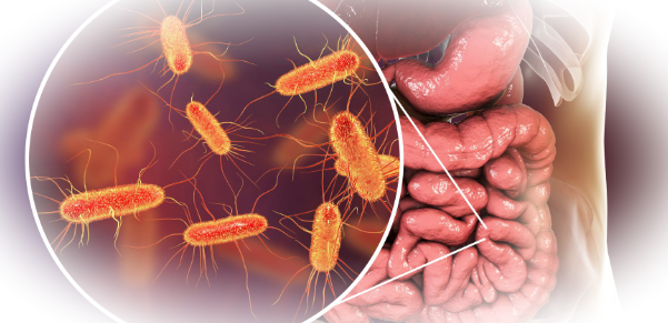 Зачем нам нужны некоторые бактерии?