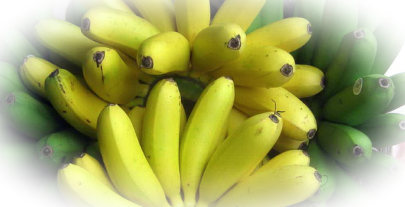 Правильный выбор бананов