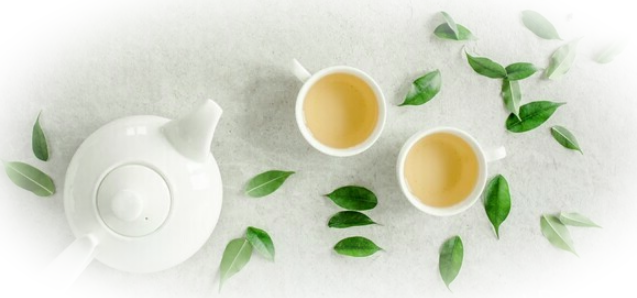 Белый чай: польза и способ заваривания