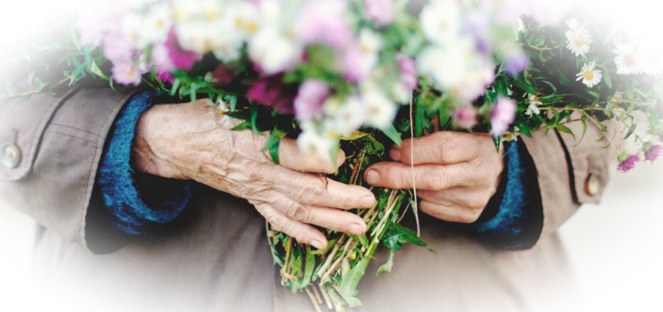Как выбрать идеальные цветы для бабушки