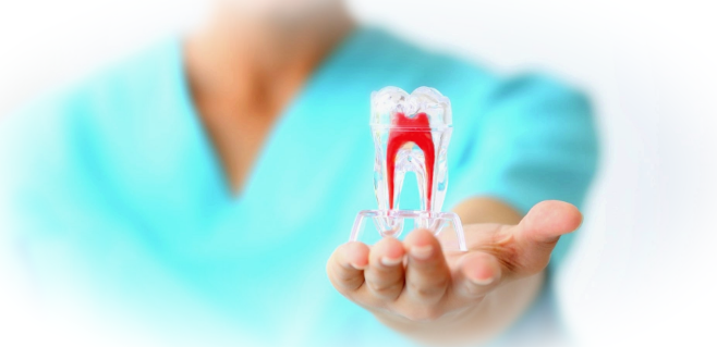 Стоматология: виды услуг, как выбрать клинику