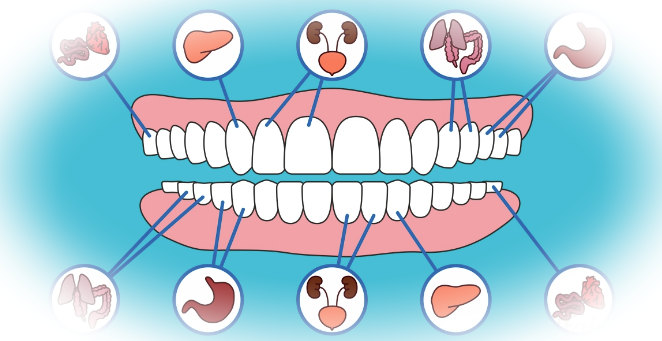 Влияние зубов на систему иммунитета