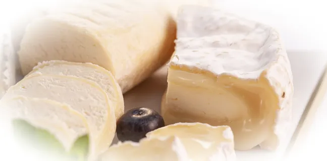 5 самых популярных сортов мягкого сыра