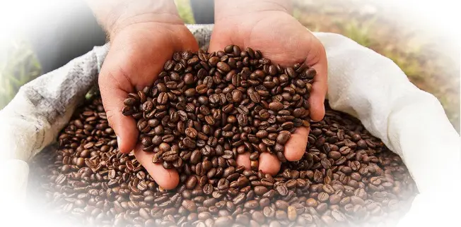 страна происхождения кофейных бобов