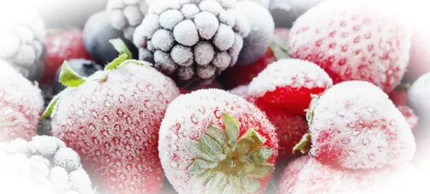 Подходящая тара для замороженных ягод