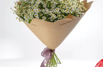 Какое лето без ромашек? Кому дарить букеты маленьких солнышек