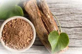 Кошачий коготь: для чего применяется, польза