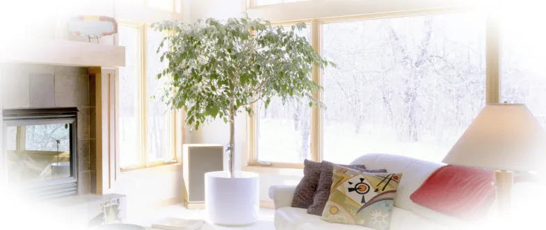 Цветовая гамма в гостиной