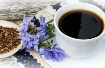 Кофе из цикория: история, польза и рецепты