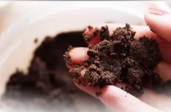 Кофейные маски: чем полезны и как их делать?