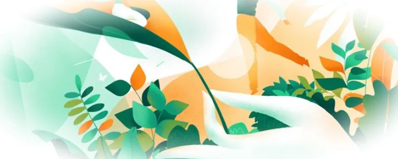 Альготерапия: применение водорослей в медицине и косметологии