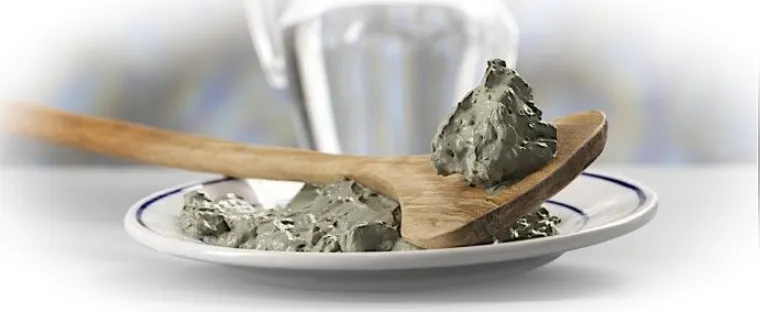 Основные компоненты катаплазмы