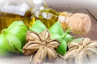 Масло мача инчи: здоровье из тропиков