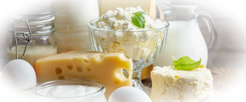 Молочная продукция: ключевые аспекты и преимущества