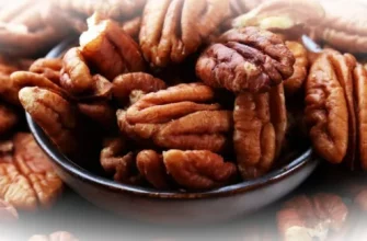 Орехи гикори: полезные свойства и применение