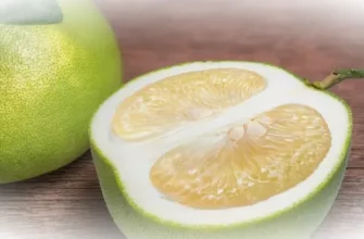 Помело: крупный и вкусный цитрус