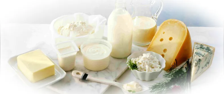 Виды молочной продукции