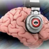 Сила музыки: как звук и мелодия способствуют расслаблению