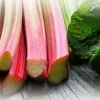Ревень — фрукт или овощ? Целебные свойства ревеня