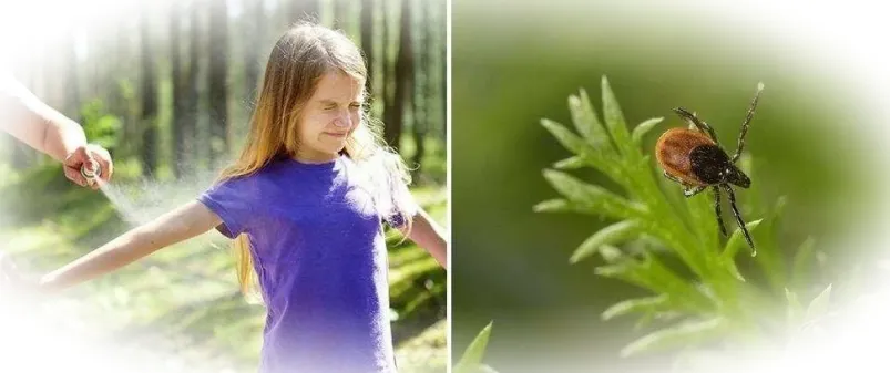 Как защититься от укусов клещей