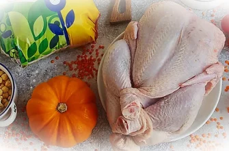 Путь продуктов от поля до тарелки: как мы можем сделать правильный выбор
