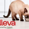 Alleva корм для кошек - сбалансированное питание для здоровой и счастливой жизни вашего питомца