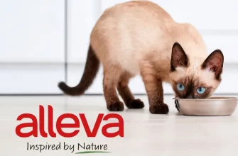 Alleva корм для кошек - сбалансированное питание для здоровой и счастливой жизни вашего питомца