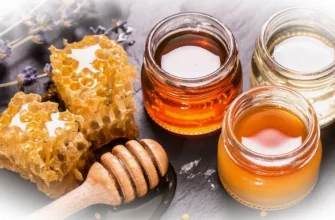 Изысканный вкус российского мёда: чем удивить гостей