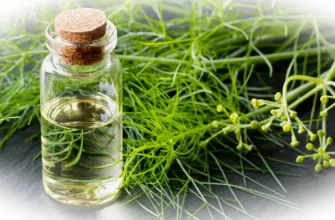 Эфирное масло фенхеля