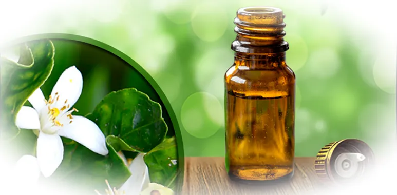 Эфирное масло петитгрейна