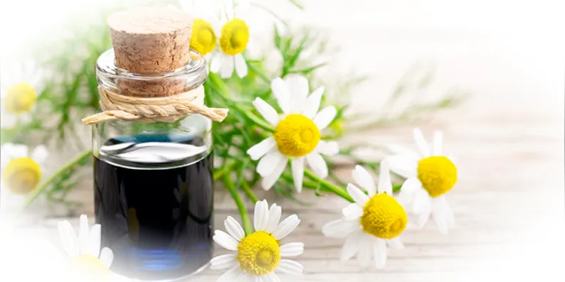 Эфирное масло ромашки