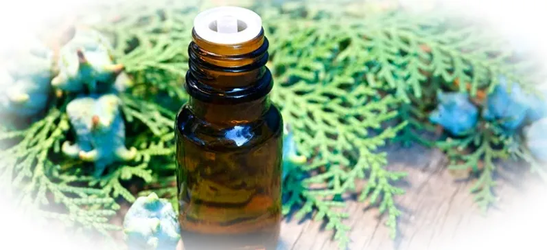 Эфирное масло туи